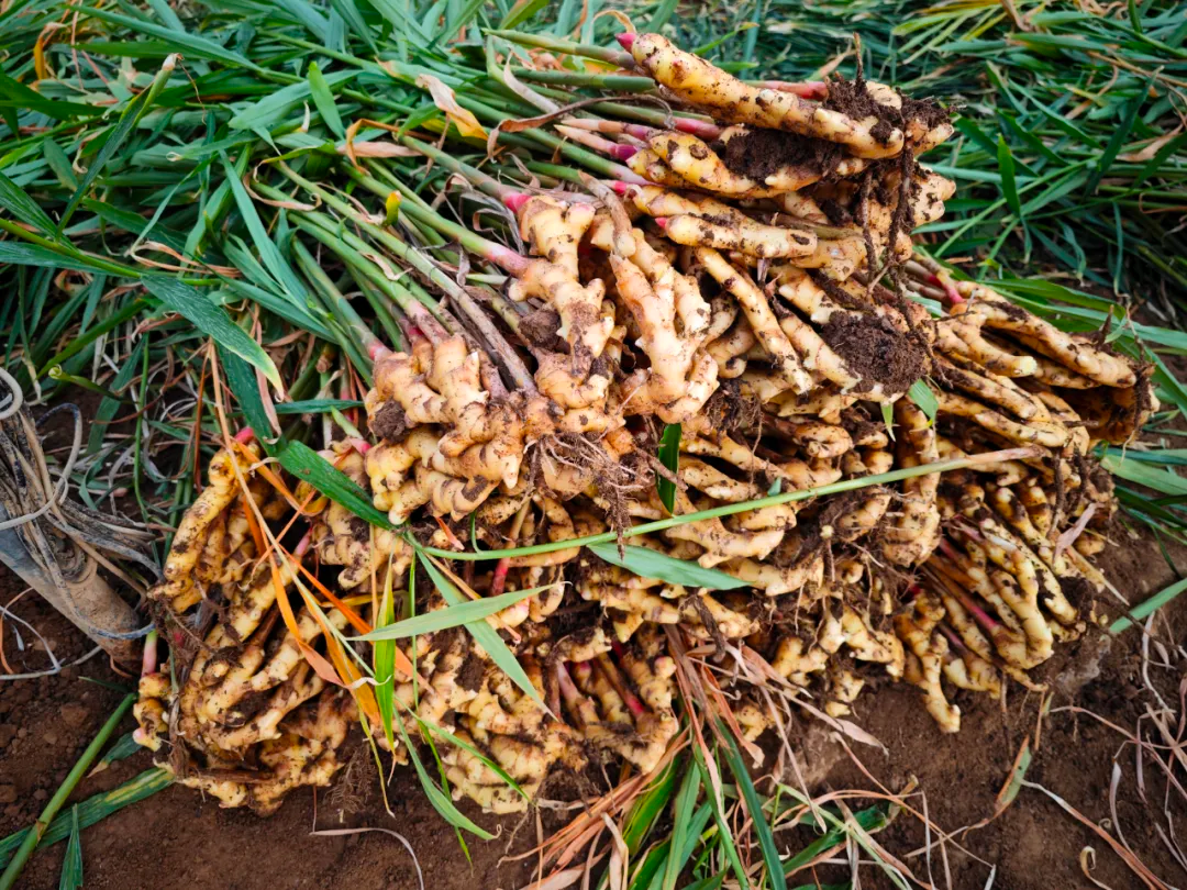 20240524143729008222.png 640 (3).png